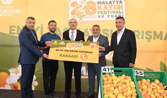 Malatya'da kayısılar yarıştı