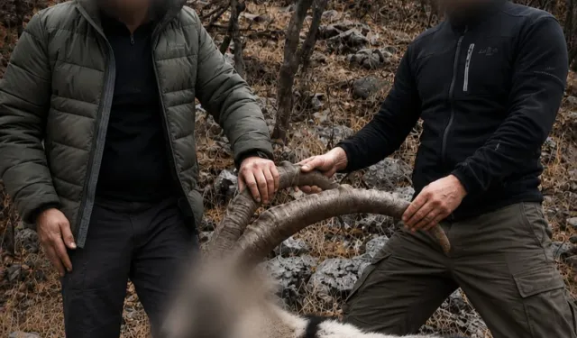 6 yıl önceki kaçak avın failleri tespit edildi!