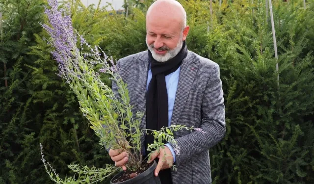 Kayseri Kocasinan on binlerce ağacı toprakla buluşturuyor