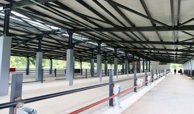 Ordu Fatsa'da Damızlık Düve Yetiştirme Merkezi tamamlandı