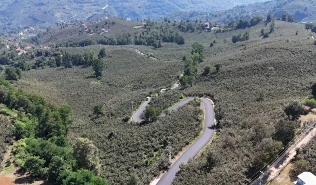 Ordu'da Ulubey Şeyhler'de yol sevinci