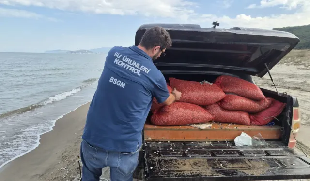 Mudanya Eğerce'de 2,7 ton kum şırlanı denize iade edildi!