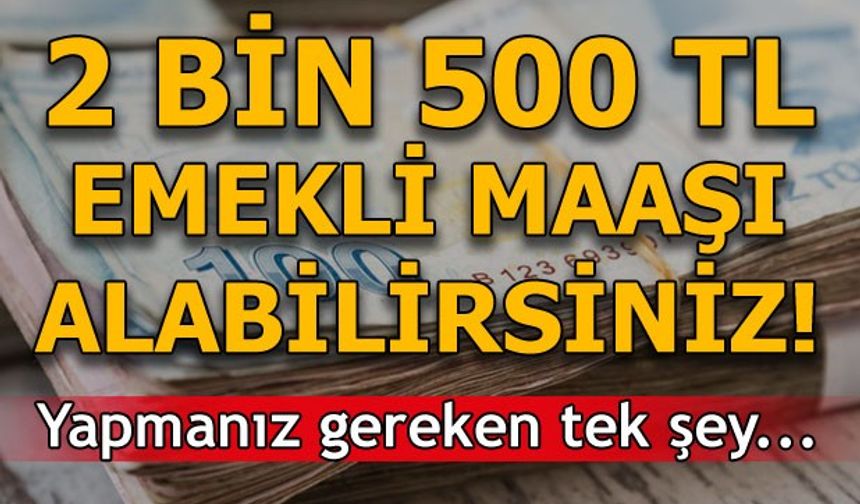 2 bin 500 TL emekli maaşı alabilirsiniz! İşte formülü…