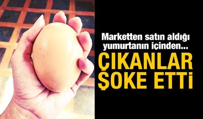 Çıkanlar şok etti