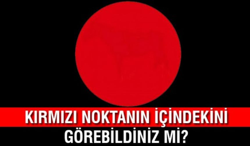 Kırmızı noktanın içinde ne var?