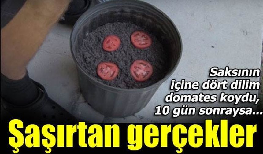 Bunları biliyor muydunuz?