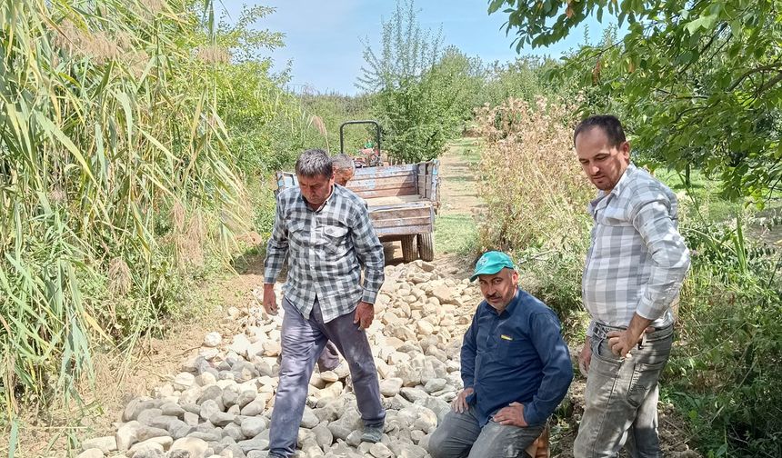 Kayapınar mahallesi kolları sıvadı belediye yapmayınca iş başa düştü