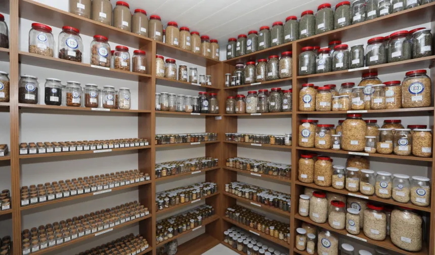 2026 yılında hedef 4 milyon yerel tohum