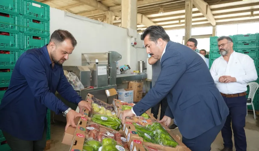 Bursa Yenişehir'in tarım ürünleri Libya yolunda