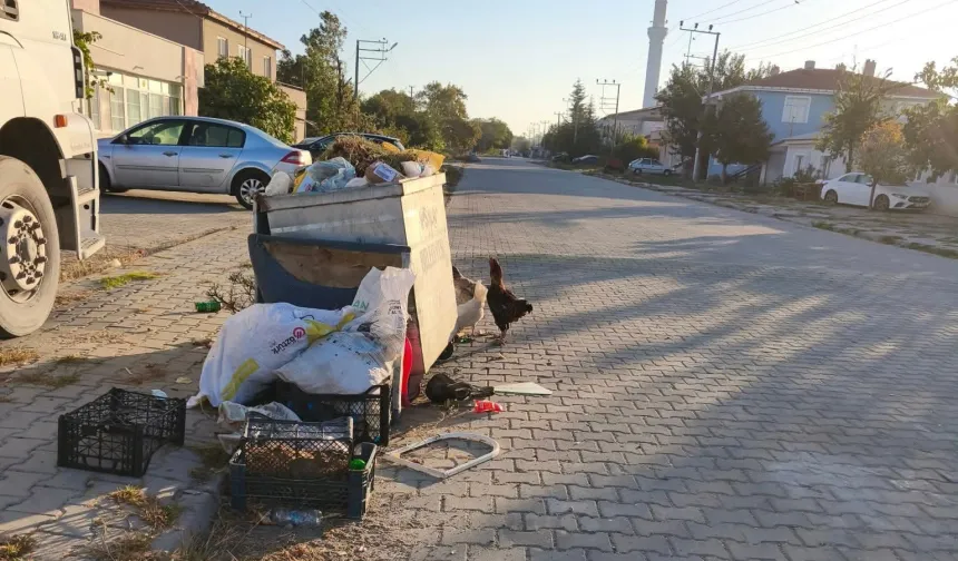 İpsala'da CHP’li Meclis Üyesi'nden Başkan Kerman’a bakımsızlık eleştirisi