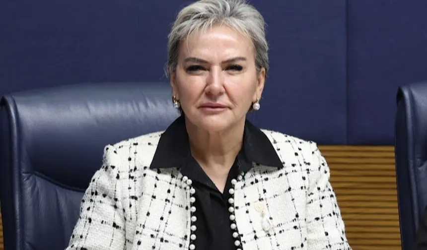 Milletvekili Özdemir 'kalıcı yaz saati'ni sordu