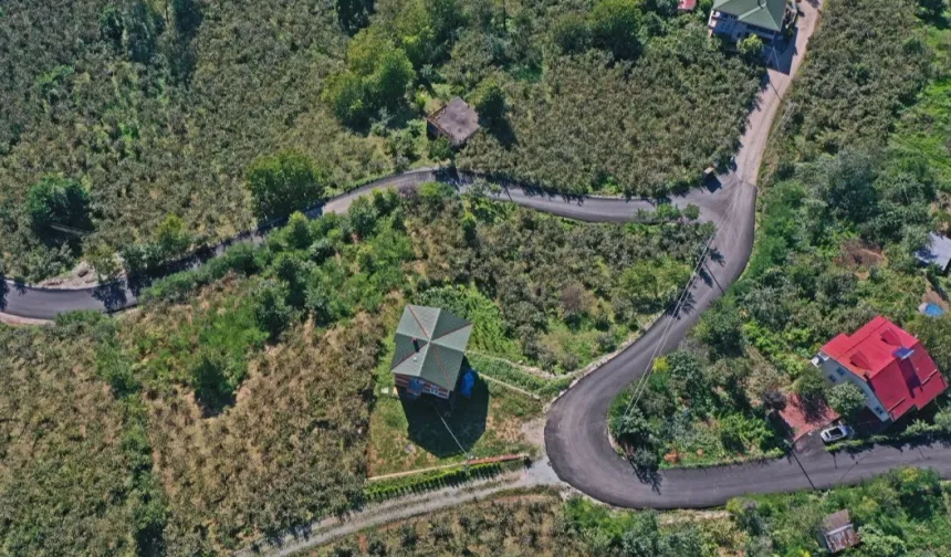 Ordu Altınordu’da sıcak asfalt sevinci