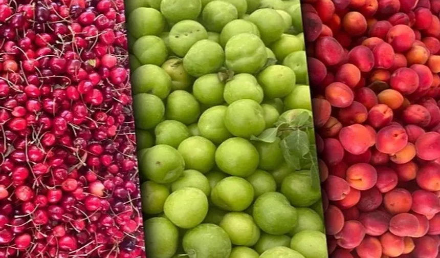 Tarım ÜFE aylık azaldı, yıllık arttı!