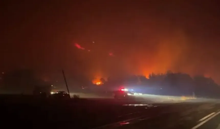 Bursa Karacabey'de Orman Yangını: Tahliyeler Başladı