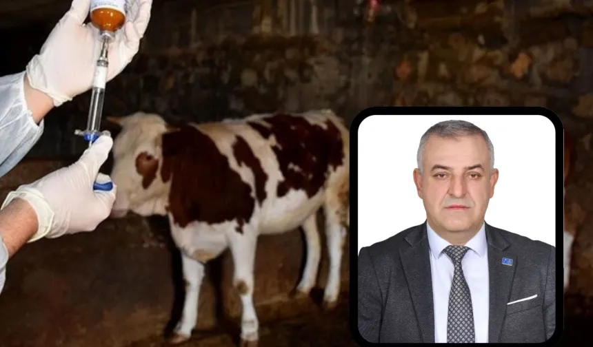 Bursa Mustafakemalpaşa'da şap alarmına A Parti açıklaması