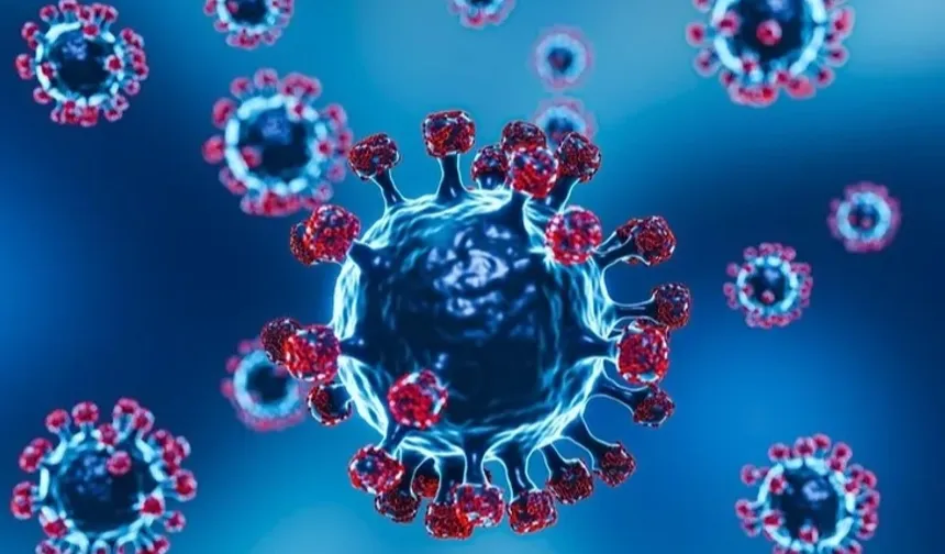 Frankenstein varyantı... COVID-19'da yeni tehlike!