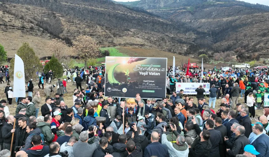 Bursa Gürsu'da yangın bölgesi yeniden hayat buluyor