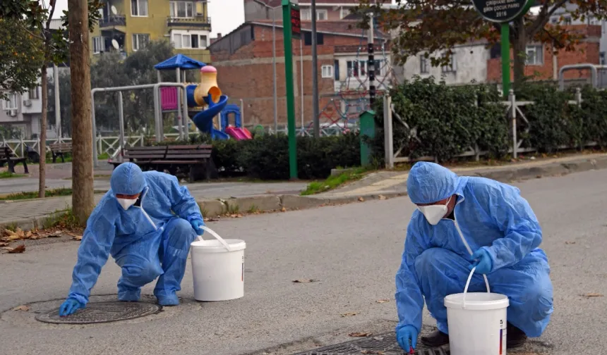 Bursa Osmangazi'de kemirgenlere yönelik mücadele