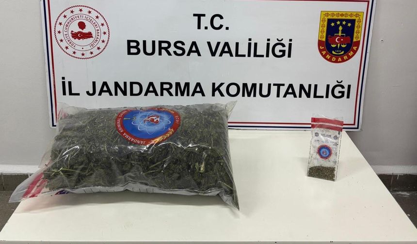 İnegöl'de Jandarma Samanlıkta Esrar ve Tohum Ele Geçirdi