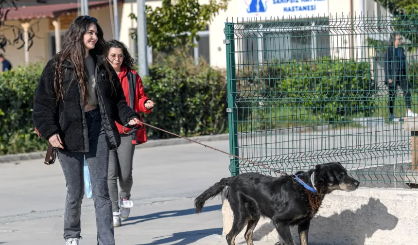 İzmir Menemen'deki yangından kurtarılan 17 hayvana Büyükşehir sahip çıktı