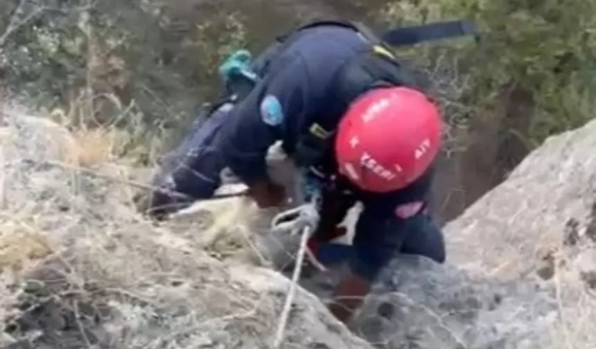 Kayseri Büyükşehir itfaiyesi mahsur kalan keçiyi kurtardı