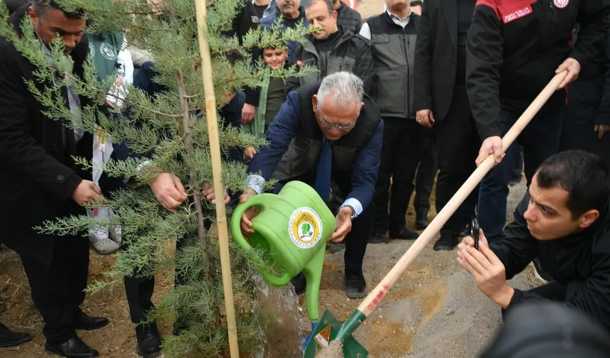 Kayseri Büyükşehir'den şehrin 'yeşil'ine dev yatırım