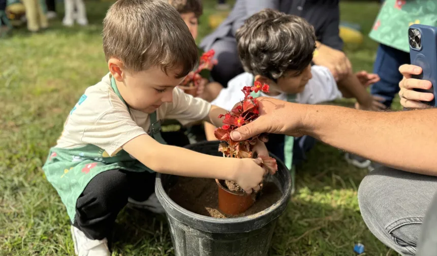Minik eller Sakarya'da umut ekti
