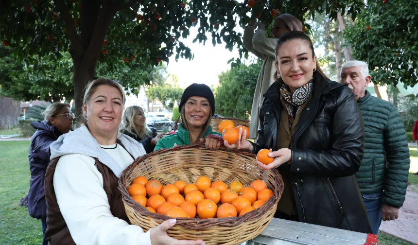 Antalya'nın turunçları kadın emeğiyle sofralara uzanıyor