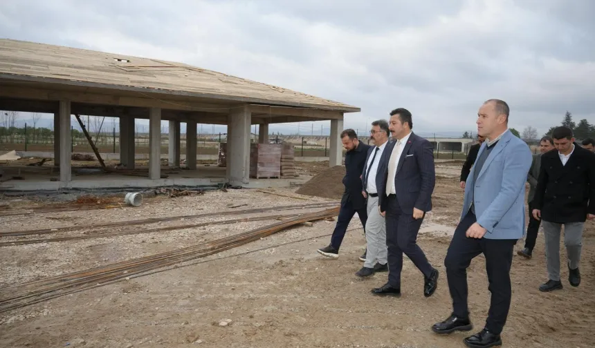 Bursa Yenişehir'de Hayvan Bakımevi ve Doğal Yaşam Alanı projesi şekilleniyor