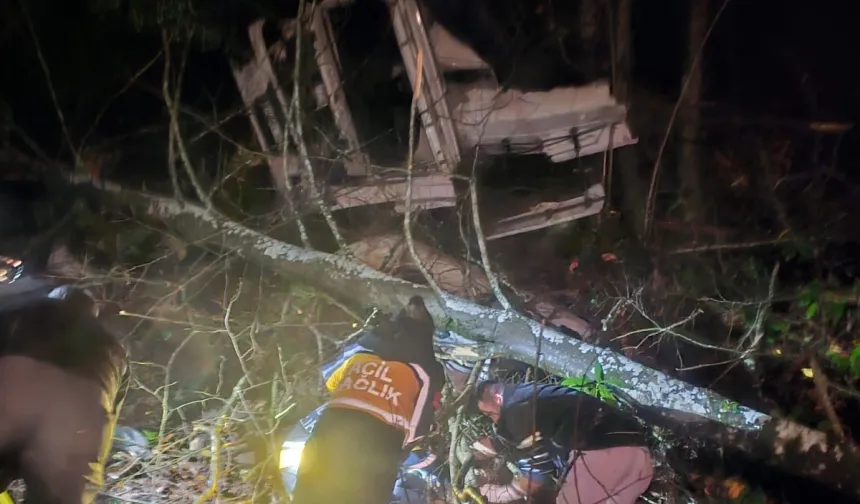 Düzce'de tomruk yüklü tır uçuruma yuvarlandı