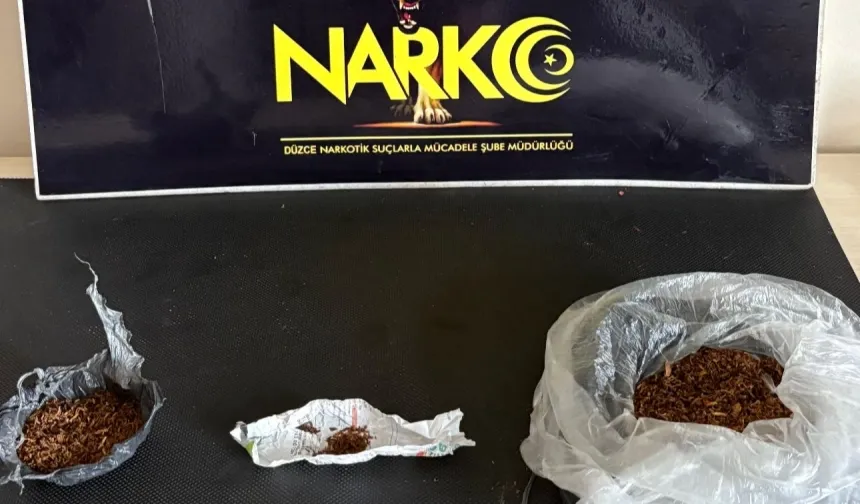 Düzce'de  operasyon!