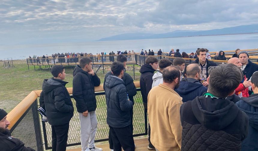 Ateş karıncalarından tarih gezisi