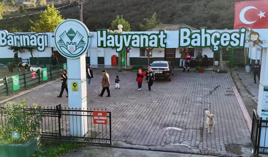 Giresun Hayvan Barınağı 2025'e damga vurdu