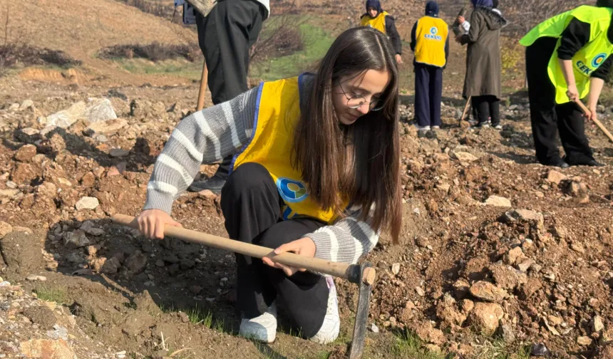 Gürsu'da yanan ormanlar yeniden yeşeriyor