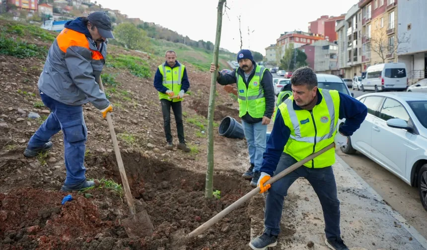 İstanbul Maltepe'de Zümrütevler'in parkları geri dönüşümle yenileniyor
