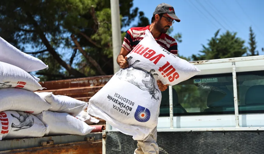 Antalya'da hayvancılığa 2025 yılında büyük katkı