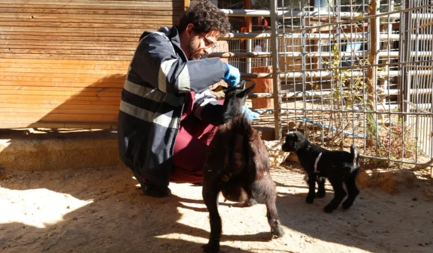 Doğal Yaşam Parkı'nda soğuk alarmı