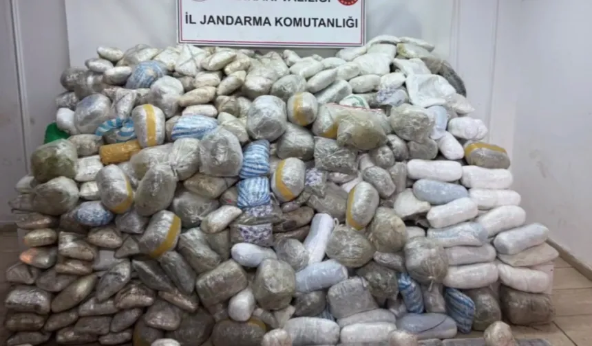 Hakkari'de dev operasyon!