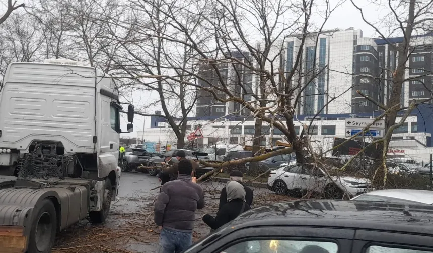 İstanbul'da fırtına: Ağaç devrildi, sahil yolları kapandı!