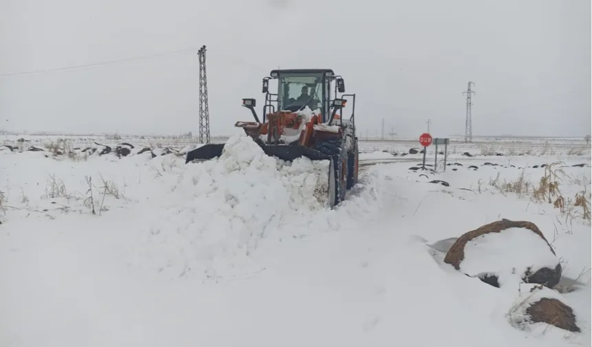 Kar Urfa'yı esir aldı!