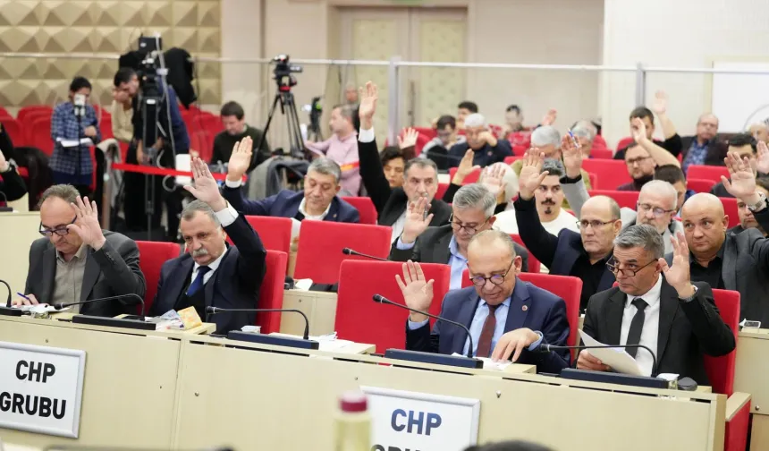 Manisa'da 8 proje oy birliğiyle kabul edildi