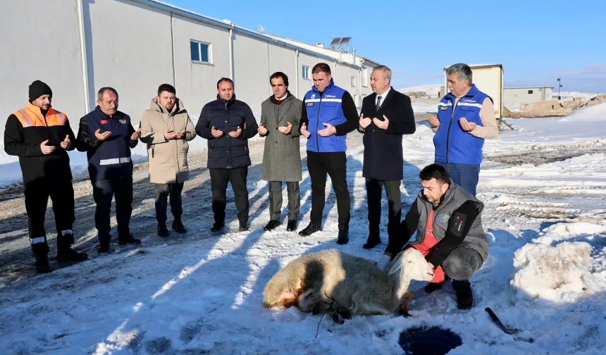 Sivas'ta kar yağışına şükür kurbanı