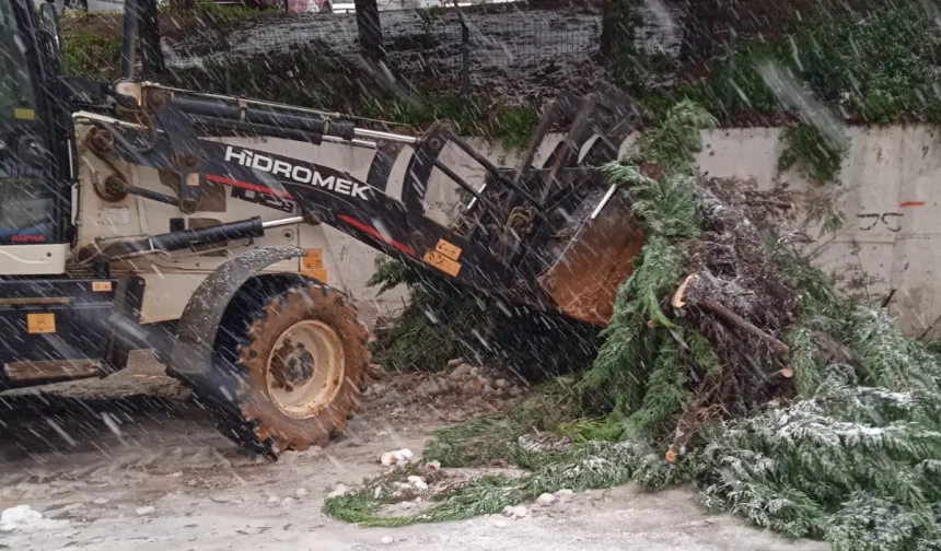 Trabzon'da kritik noktalarda kar temizliği