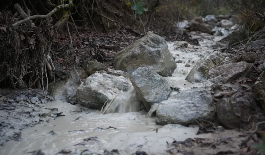 Yenişehir Kirazlıyayla'da binlerce ton kimyasal doğaya karıştı!