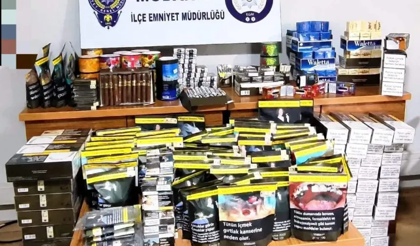 Bursa Mudanya'da kaçak tütün operasyonu