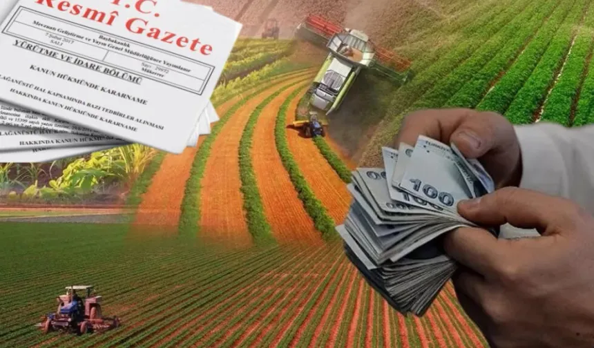 Hazine destekli kredilerde yeni dönem... Çiftçi ve esnafa kredi şartları yenilendi