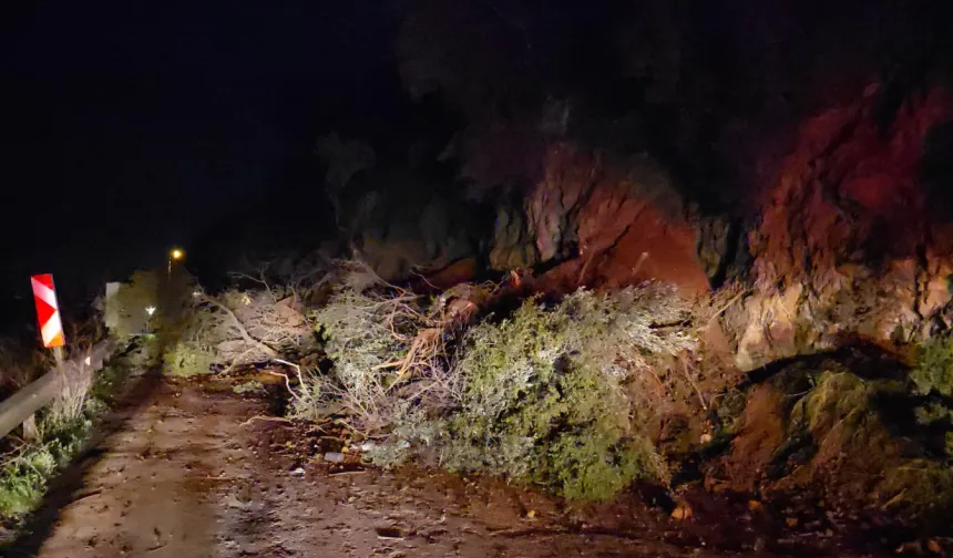 Mudanya-Kurşunlu yolunda gece yarısı heyelan! Yol ulaşıma kapandı