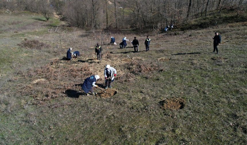 Bursa Nilüfer’in atıl arazileri hem nefes hem gelir kaynağı oluyor