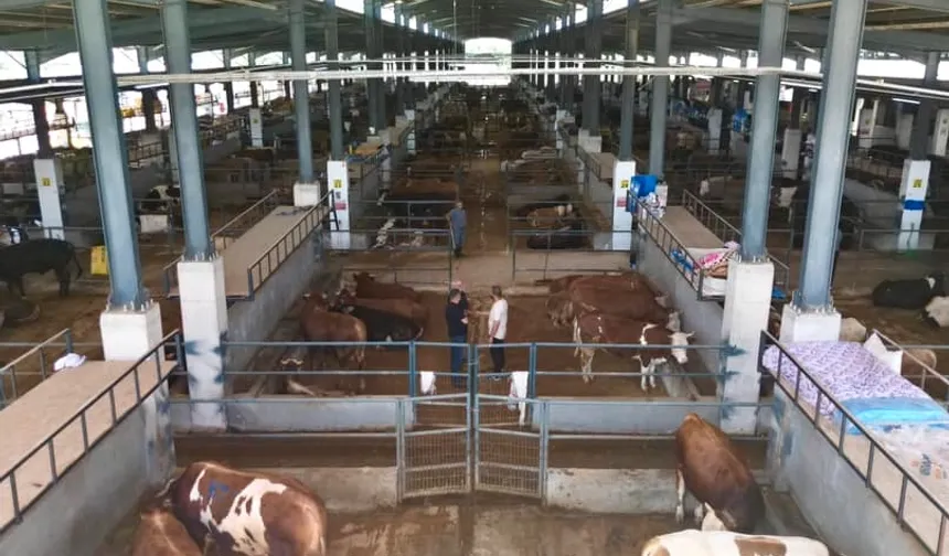 İnegöl Belediyesi hayvan pazarının kotra ihale tarihi belli oldu