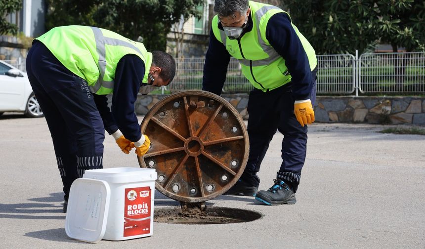 Bursa'da Sinek ve haşereyle etkin mücadele